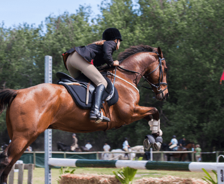 5 Horse Riding